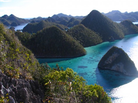 pulau pulau raja ampat - Papua : Raja Ampat yang Mempesona