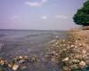 Bebatuan Di Pinggir Pantai Batu Gong - Sulawesi Tenggara : Pantai Batu Gong, Kendari – Sulawesi Tenggara