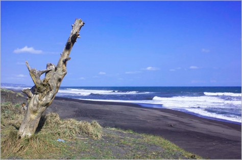  MG 9476 - Jawa Tengah : Pantai Goa Cemara, Bantul – Yogyakarta