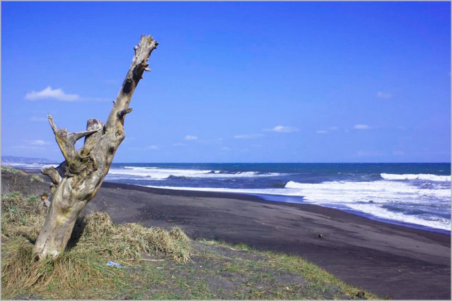 Jawa Tengah , Pantai Goa Cemara, Bantul – Yogyakarta :  MG 9476