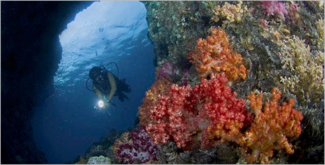 Raja Ampat , Kepulauan Raja Ampat Papua – Surga di Indonesia : Diving Raja Ampat