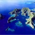 Tips, : keindahan-pulau-raja-ampat