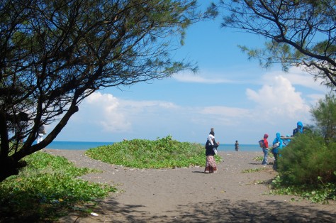 pantai Goa Cemara - Jawa Tengah : Pantai Goa Cemara, Bantul – Yogyakarta