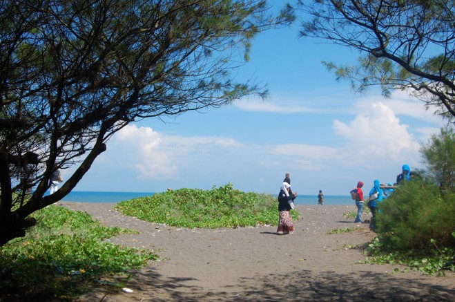 Jawa Tengah , Pantai Goa Cemara, Bantul – Yogyakarta : Pantai Goa Cemara