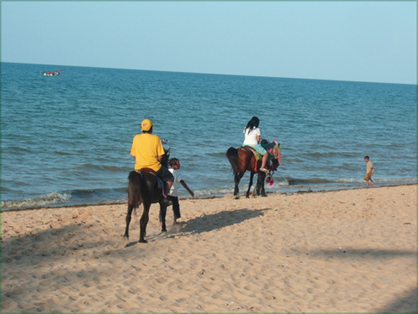 Jawa Timur , Pantai Lombang, Sumenep – Madura : Bermain Kuda Di Pantai Lombang