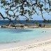  , Hamparan Pasir Putih Pantai Ngurtafur : Keindahan Pantai Lahilote