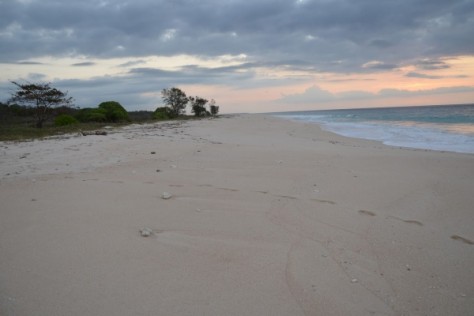 Lombok , Pantai Batu Payung, Bengkayang – Lombok Tengah : Hamparang-pasir-pantai-batu-payung-39