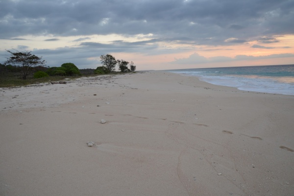 Lombok , Pantai Batu Payung, Bengkayang – Lombok Tengah : Hamparang Pasir Pantai Batu Payung 39