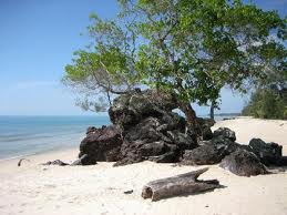 Kepulauan Riau , Pantai Batu Berdaun, Lingga – Kepulauan Riau : Salah Satu Contoh Batu Bedaun