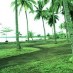 DKI Jakarta, : Pantai Baluk Rening yang rindang