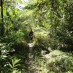 Jawa Tengah, : hutan liar nusakambangan