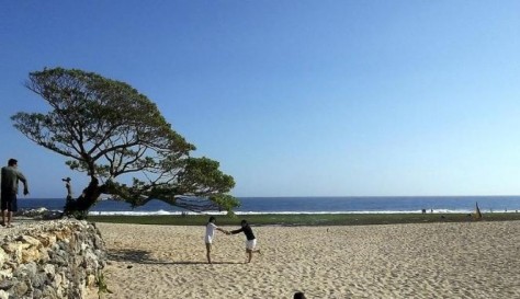 DIY Yogyakarta , Pantai Pok Tunggal, Gunung Kidul – Yogyakarta : icon pantai pok tunggal