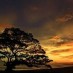 Kalimantan Barat, : indahnya sunset pok tunggal