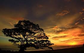 DIY Yogyakarta , Pantai Pok Tunggal, Gunung Kidul – Yogyakarta : Indahnya Sunset Pok Tunggal