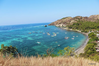 keindahan pantai koka dari atas bukit - Nusa Tenggara : Pantai Koka, Sikka – NTT
