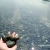 Bengkulu, : kerikil- kerikil hitam di pantai tablanasu
