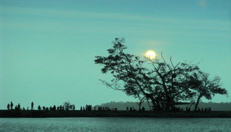 Kalimantan Barat , Pantai Jungkat, Pontianak – Kalimantan Barat : pantai Jungkat, Siantan - Pontianak