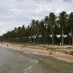 pantai kijing, kalimantan - Kalimantan Barat : Pantai Kijing, Pontianak – Kalimantan Barat