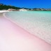 Nusa Tenggara, : pasir pink Pantai labuan bajo