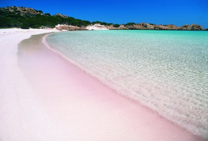 Nusa Tenggara , pink beach, labuan bajo – NTT : pasir pink Pantai labuan bajo