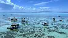 Kalimantan Barat , Tanjung Bajau Beach, Singkawang – Kalimantan Barat : Penempatan Tanjung Bajau