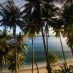 Belitong, : rindangnya suasana pantai Sumur Tiga