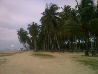 sebelah kanan pantai kijing - Kalimantan Barat : Pantai Kijing, Pontianak – Kalimantan Barat