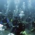 Sulawesi Utara, : serunya diving bersamaan di berbagai spot