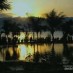 Banten, : sunset yang mengagumkan di pantai talise
