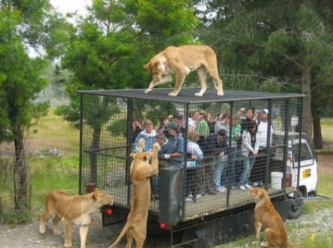 wisatawan di sinka Island Park - Kalimantan Barat : Sinka Island Park, Singkawang – Kalimantan Barat