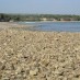 Bangka, : Bebatuan koral di pantai manikin