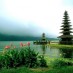 Bali , Pulau Dewata Bali : Danau Bedugul Bali Indonesia