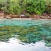 Tips, : Gugusan Karang di Pantai Tanjung Karang