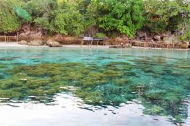 Sulawesi Tengah , pantai Tanjung Karang, Palu – Sulawesi Tengah : Gugusan Karang Di Pantai Tanjung Karang