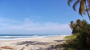 Hamparan pasir di pesisir Pantai Tiram - Sumatera Barat : Pantai Tiram, Padang Priaman – Sumatera Barat