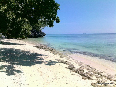 Hampiran pasir putih Pantai Toronipa - Sulawesi Tenggara : Pantai Toronipa, Kendari –  Sulawesi Tenggara