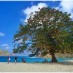Lombok, : Panorama pantai mawun