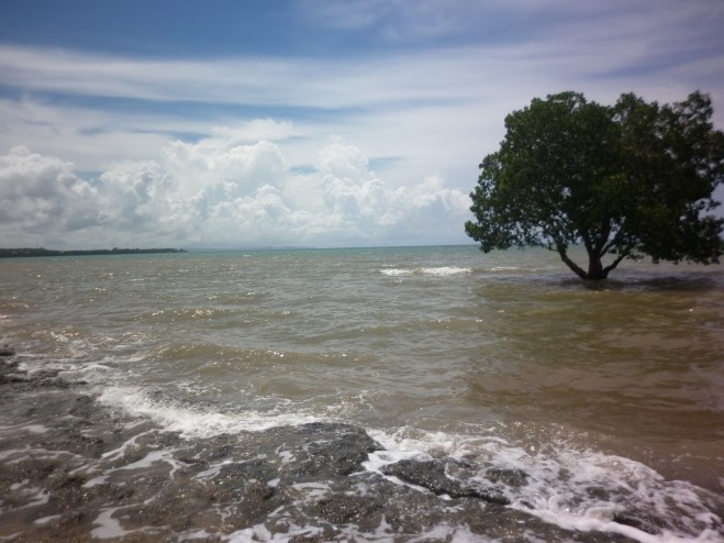 Nusa Tenggara , Pantai Nunsui, Kupang – NTT : Pantai Nunsui Di Waktu Pasang