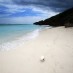 Bengkulu, : Pasir putih Pantai Sili