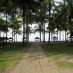 Bangka, : Pemandangan Pantai Pasir Jambak dari taman