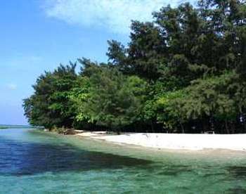 DKI Jakarta , Kepulauan Seribu, DKI Jakarta : Pulau Semak Bedaun