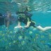 Belitong, : Snorkling di Pulau Pari