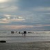 Sulawesi Tengah, : Suasana pantai setoko