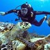 Jawa Barat, : aktivitas menyenangkan menjelajahi kekayaan bawah laut pantai Teupin Sirkui