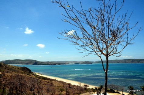 keindahan pantai grupuk dari atas bukit - Lombok : Pantai Grupuk, Lombok – NTB