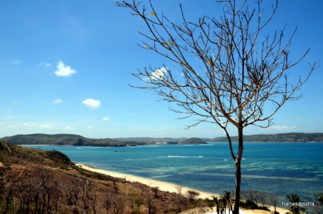 Lombok , Pantai Grupuk, Lombok – NTB : Keindahan Pantai Grupuk Dari Atas Bukit