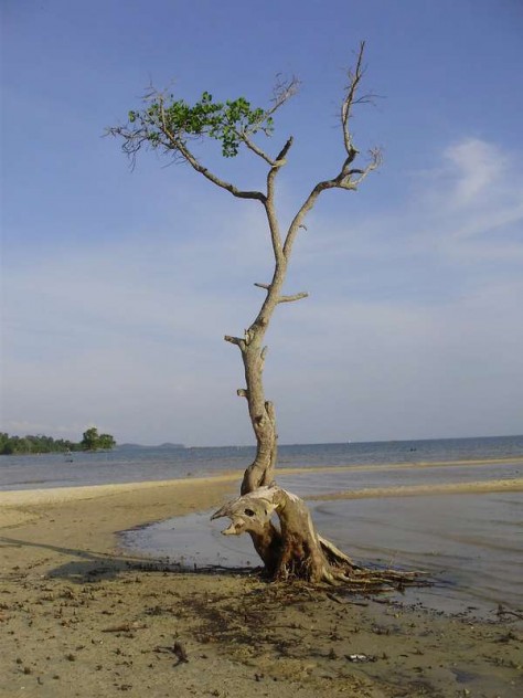 pantai setoko, kepulauanriau - Kepulauan Riau : Pantai Setoko, Batam – Kepulauan Riau