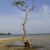 Papua, : pantai setoko, kepulauanriau