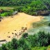 Lampung, : pantai trenggole