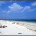 Tips, : pasir putih pantai kaliantan